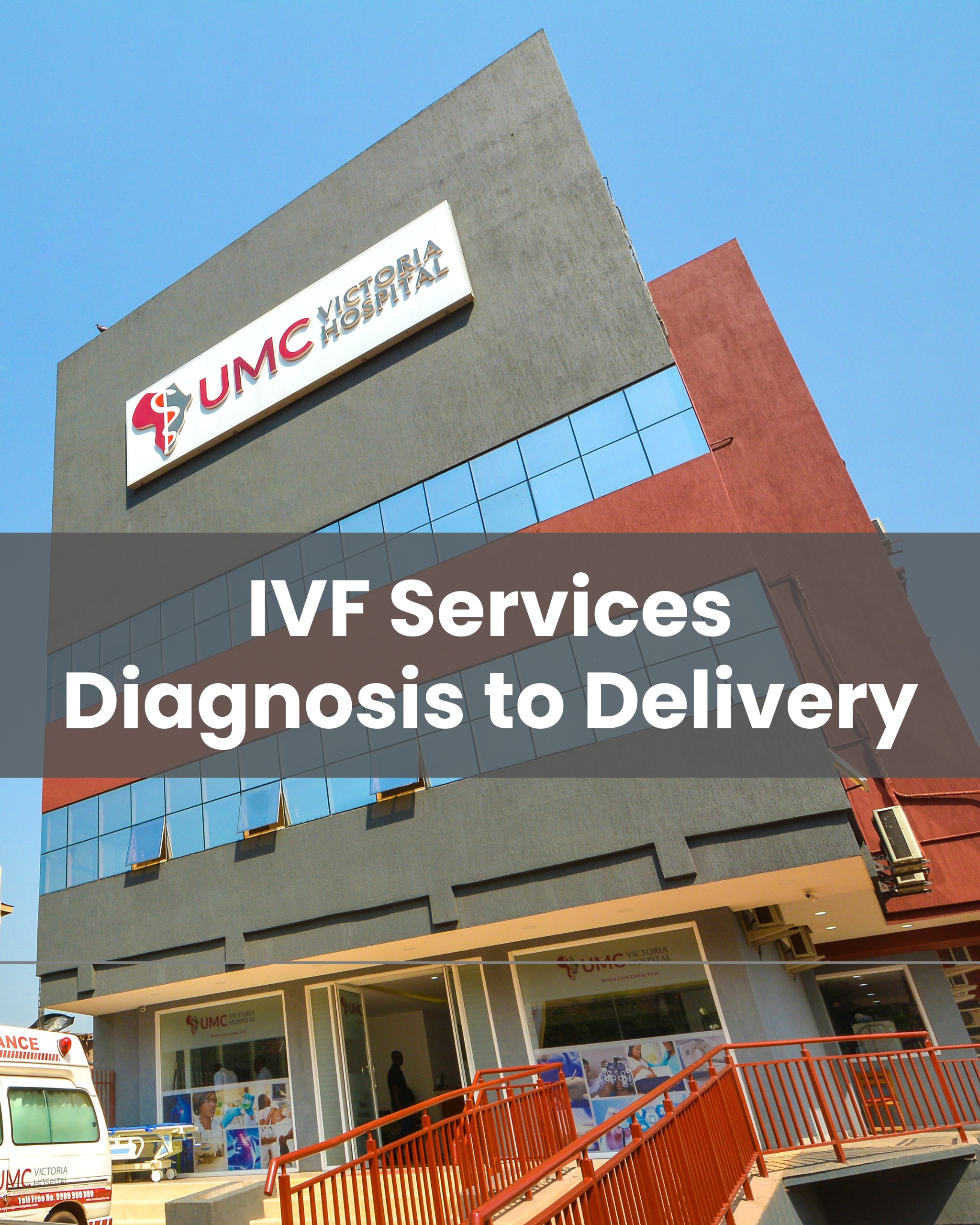 IVF Services