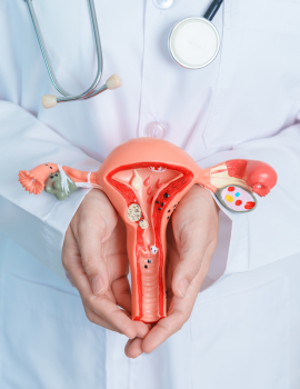 Gynaecology