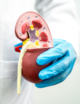 Nephrology